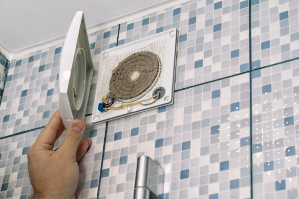 Air Duct Mold Removal in Lexington, TN